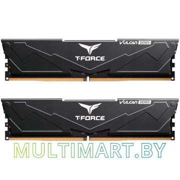 Оперативная память Team T-Force Vulcan 2x8GB DDR5 PC5-48000 (FLBD516G6000HC38ADC01) картинка 1